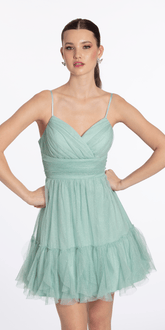 Glitter Mesh Fit and Flare Dress with Ruffle Hem