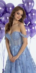 Off the Shoulder Butterfly Embroidered Tulle Lace Up Back Ballgown